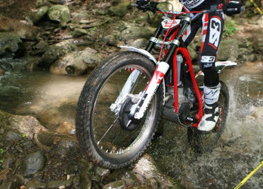 MS trial Matějíček