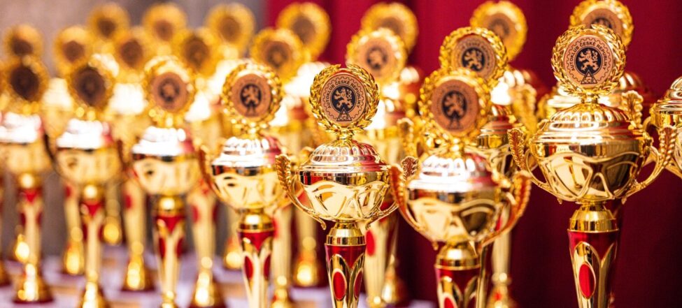 VYJÁDŘENÍ AČR K UDĚLENÍ PODMÍNĚNÉHO TRESTU VĚROSLAVU CVRČKOVI